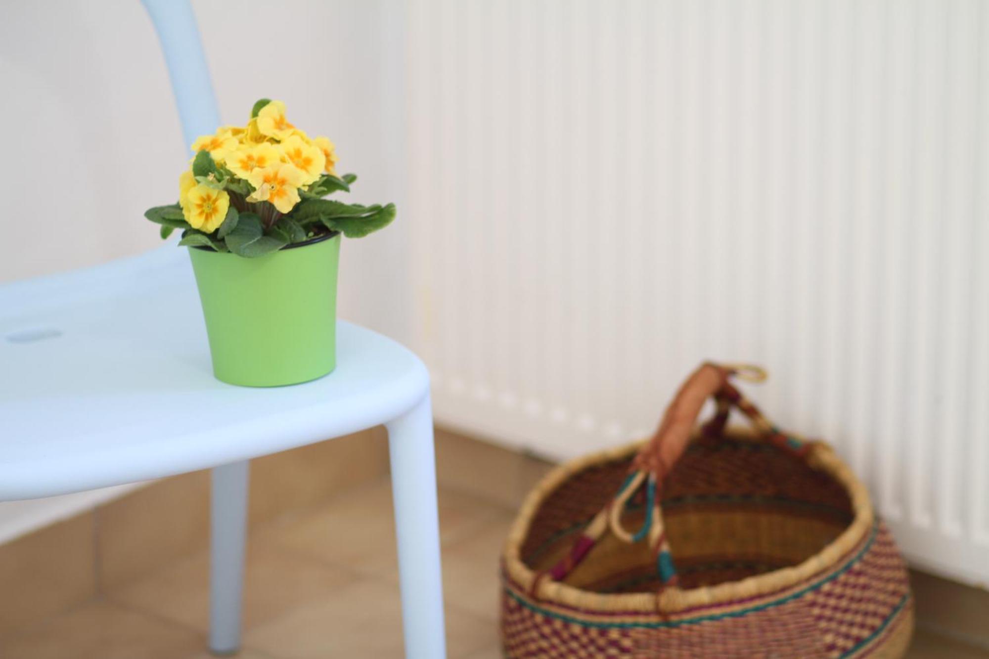 Apartament - Compartir カダケス エクステリア 写真